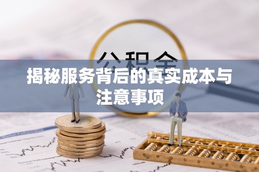 沙洋揭秘服务背后的真实成本与注意事项