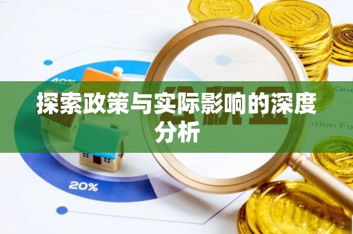 沙洋探索政策与实际影响的深度分析