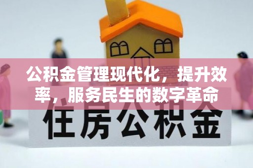 沙洋公积金管理现代化，提升效率，服务民生的数字革命