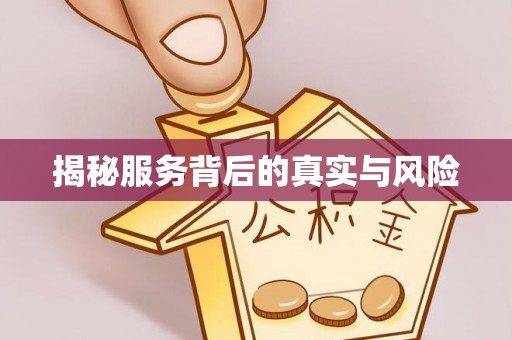 沙洋揭秘服务背后的真实与风险