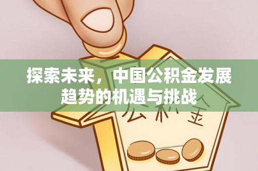 沙洋探索未来，中国公积金发展趋势的机遇与挑战