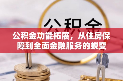 沙洋公积金功能拓展，从住房保障到全面金融服务的蜕变
