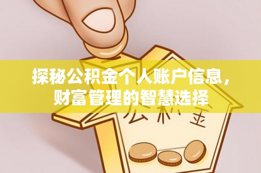 沙洋探秘公积金个人账户信息，财富管理的智慧选择