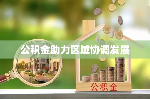 沙洋公积金助力区域协调发展