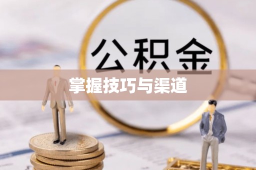 沙洋掌握技巧与渠道
