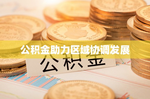 沙洋公积金助力区域协调发展