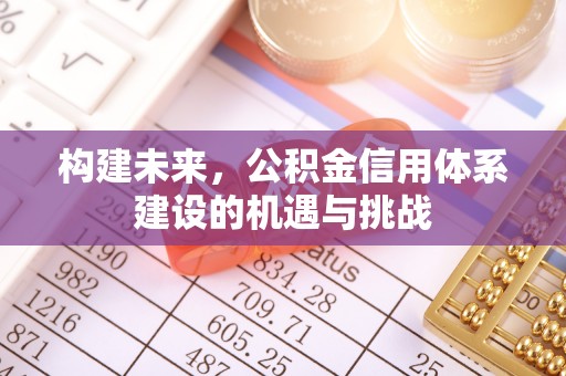 沙洋构建未来，公积金信用体系建设的机遇与挑战