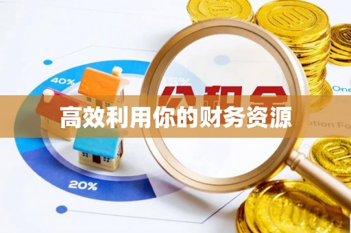 沙洋高效利用你的财务资源
