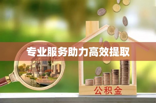 沙洋专业服务助力高效提取