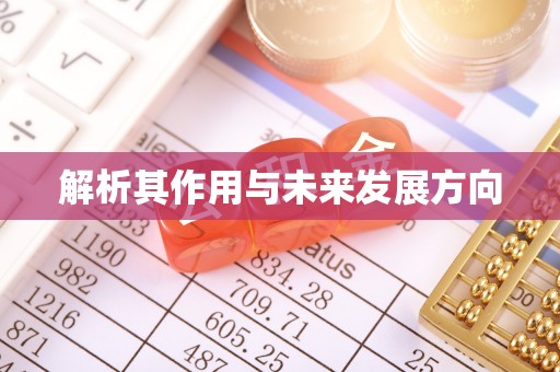 沙洋解析其作用与未来发展方向