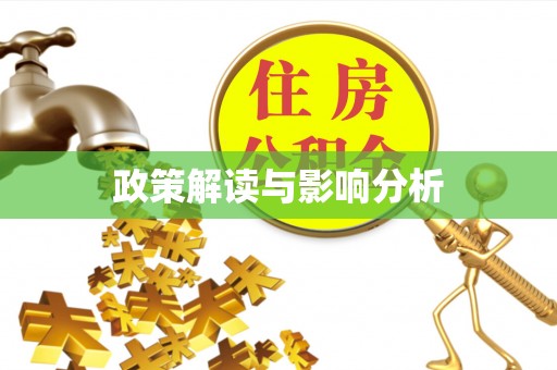 沙洋政策解读与影响分析