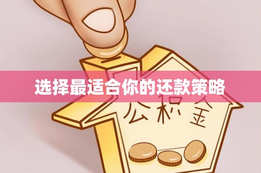 沙洋选择最适合你的还款策略