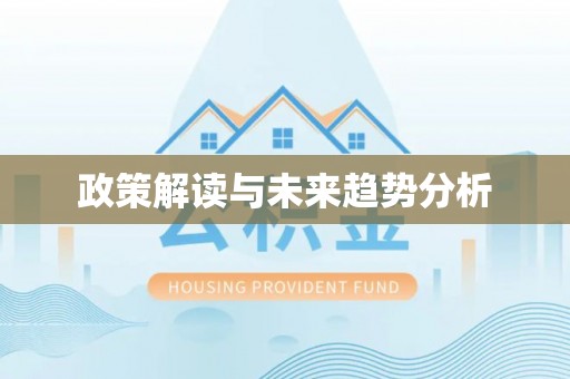 沙洋政策解读与未来趋势分析