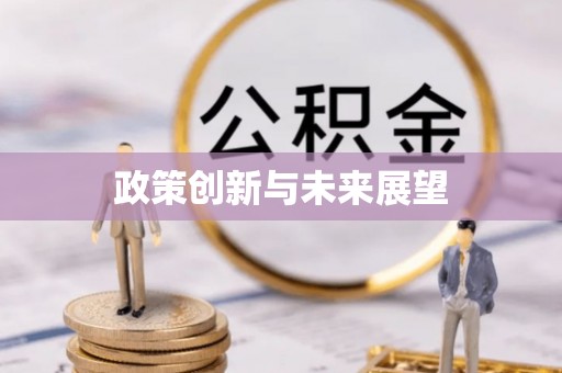 沙洋政策创新与未来展望
