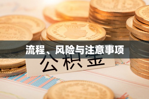 沙洋流程、风险与注意事项