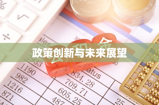 沙洋政策创新与未来展望