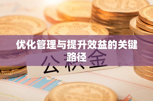 沙洋优化管理与提升效益的关键路径