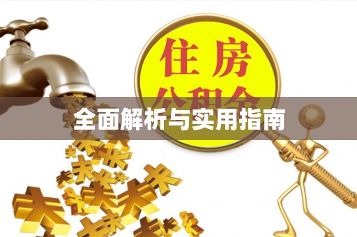 沙洋全面解析与实用指南