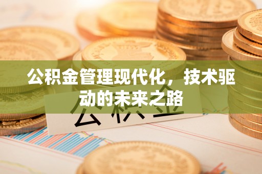 沙洋公积金管理现代化，技术驱动的未来之路
