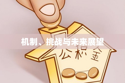 沙洋机制、挑战与未来展望